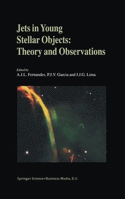 Jets in Young Stellar Objects 1