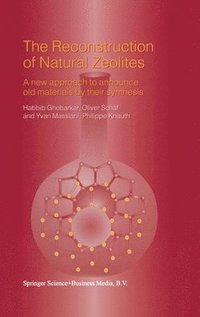 bokomslag The Reconstruction of Natural Zeolites