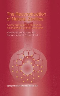 Philippe Knauth, Habbib Ghobarkar, Oliver Schaf, Yvan Massiani, Oliver Schäf, Oliver Schdf, Oliver Schc$f - Reconstruction of Natural Zeolites, Inbunden