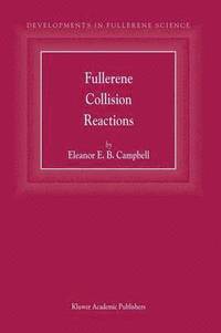 bokomslag Fullerene Collision Reactions