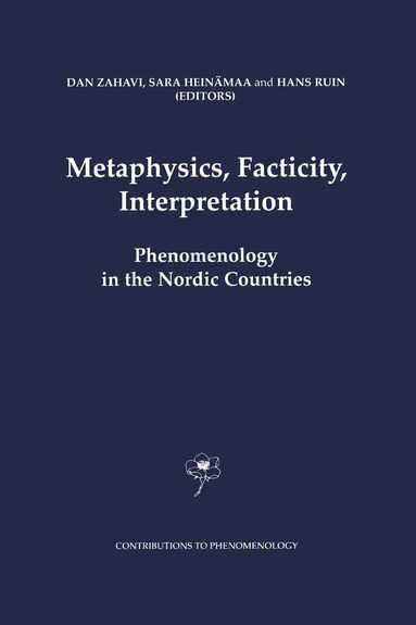 bokomslag Metaphysics, Facticity, Interpretation
