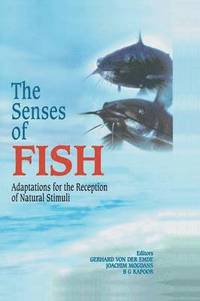 bokomslag The Senses of Fish