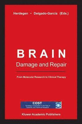 bokomslag Brain Damage and Repair