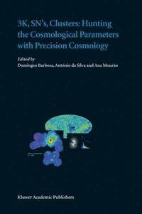 bokomslag 3K, SN's, Clusters: Hunting the Cosmological Parameters with Precision Cosmology