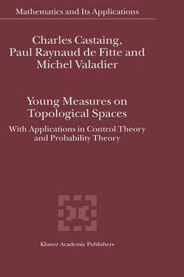bokomslag Young Measures on Topological Spaces