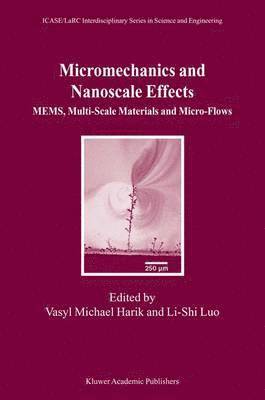 Micromechanics and Nanoscale Effects 1