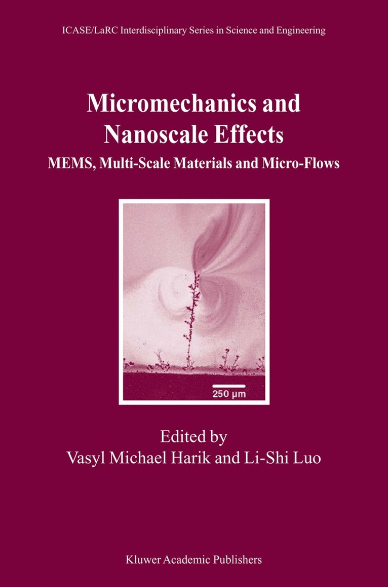 Vasyl Michael Harik, Li-Shi Luo - Micromechanics and Nanoscale Effects, Inbunden