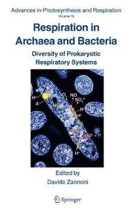 bokomslag Respiration in Archaea and Bacteria