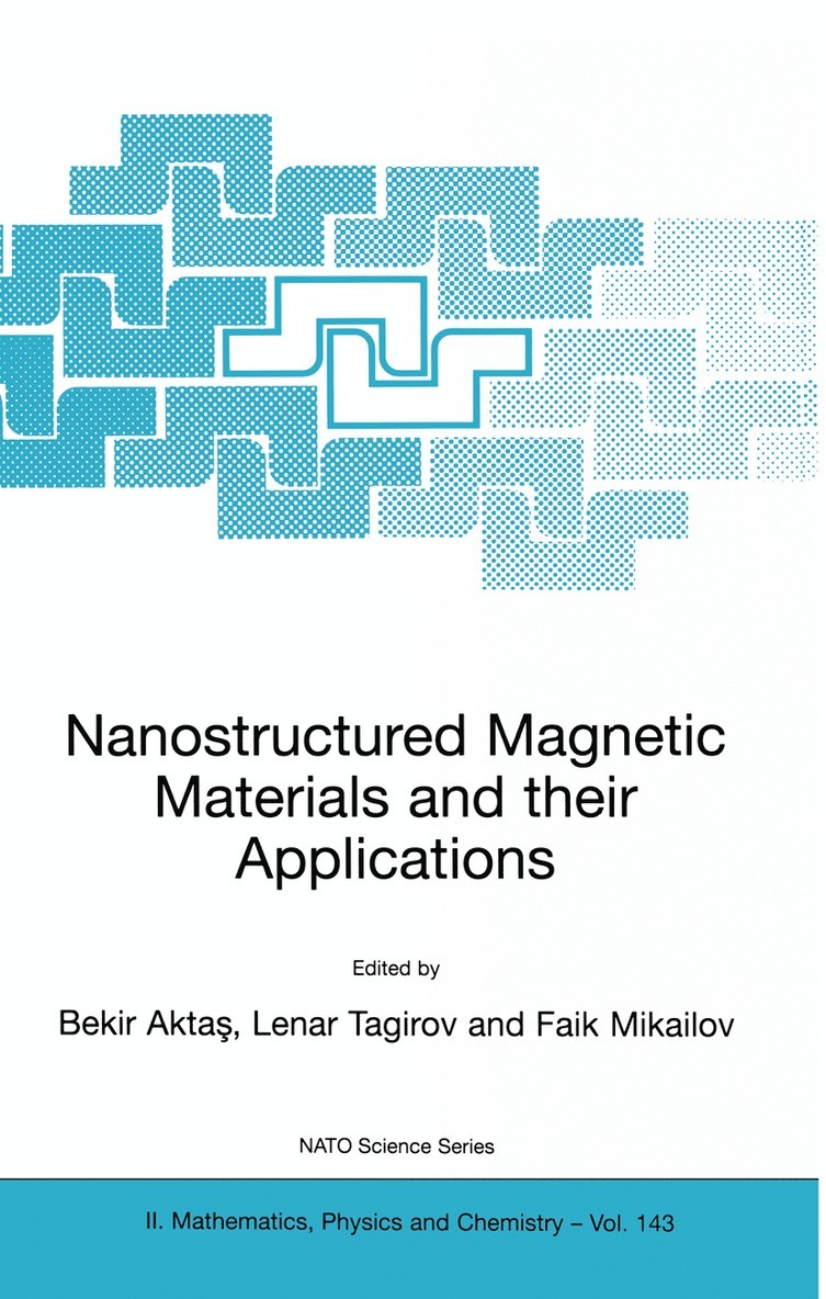 Bekir Aktas, Lenar Tagirov, Faik Mikailov - Nanostructured Magnetic Materials and their Applications, Häftad