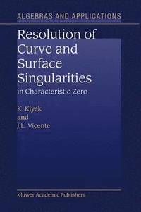 bokomslag Resolution of Curve and Surface Singularities in Characteristic Zero