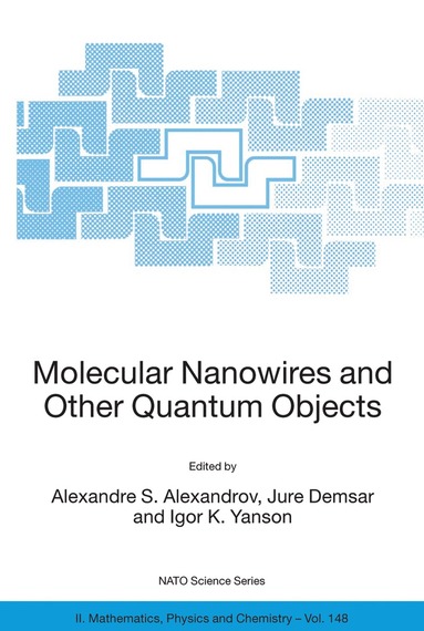 bokomslag Molecular Nanowires and Other Quantum Objects