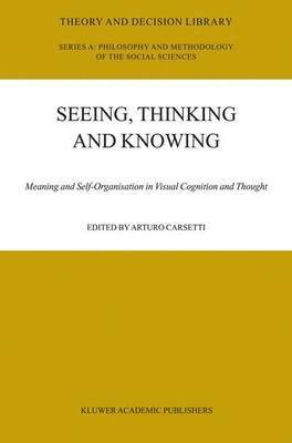 Seeing, Thinking and Knowing 1