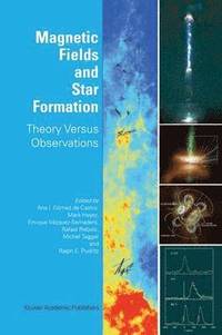 bokomslag Magnetic Fields and Star Formation