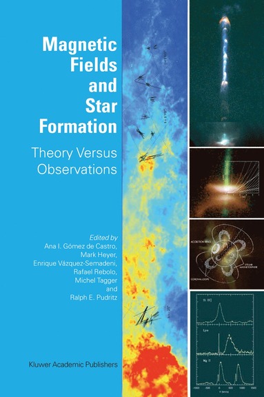 bokomslag Magnetic Fields and Star Formation