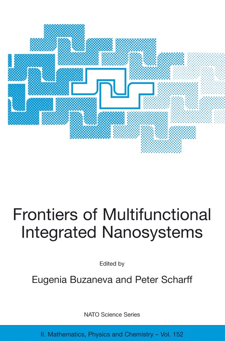 Eugenia V. Buzaneva, Peter Scharff - Frontiers of Multifunctional Integrated Nanosystems, Häftad