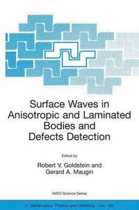 bokomslag Surface Waves in Anisotropic and Laminated Bodies and Defects Detection