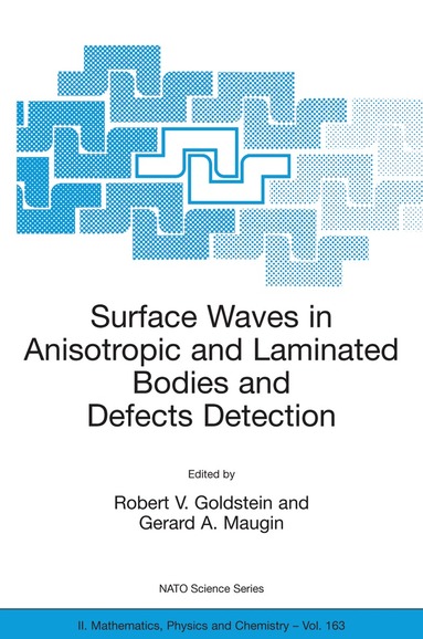 Robert V. Goldstein, Gérard A. Maugin - Surface Waves in Anisotropic and Laminated Bodies and Defects Detection, Inbunden