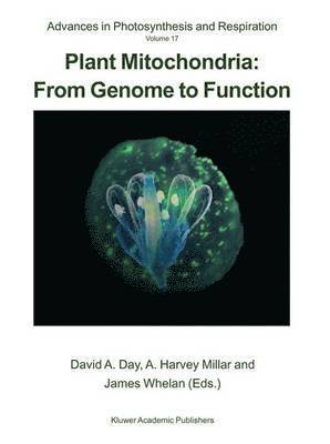 bokomslag Plant Mitochondria: From Genome to Function