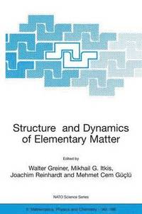 bokomslag Structure and Dynamics of Elementary Matter