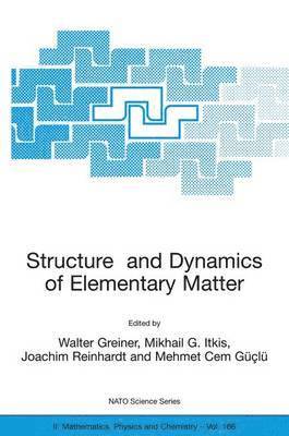 bokomslag Structure and Dynamics of Elementary Matter