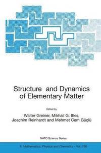 bokomslag Structure and Dynamics of Elementary Matter