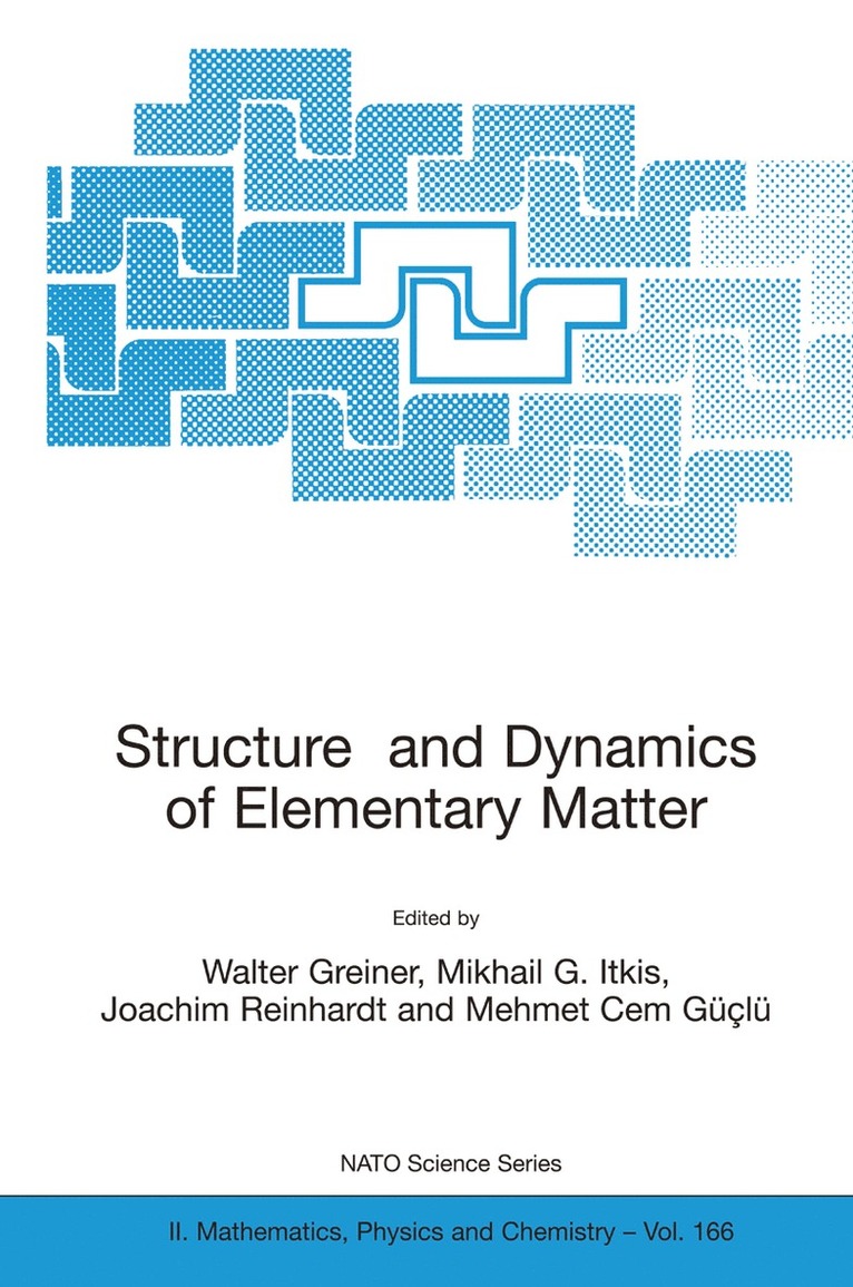 Walter Greiner, Mikhail G. Itkis, Joachim Reinhardt, Mehmet Cem Güçlü - Structure and Dynamics of Elementary Matter, Häftad