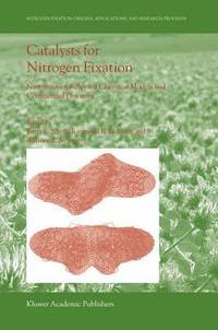 bokomslag Catalysts for Nitrogen Fixation
