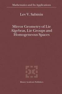 bokomslag Mirror Geometry of Lie Algebras, Lie Groups and Homogeneous Spaces