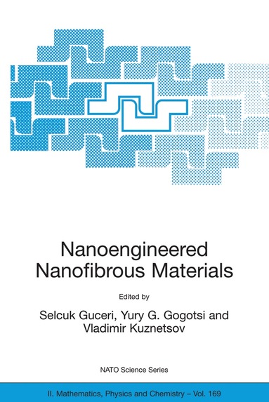 Selcuk Guceri, Yury G. Gogotsi, Vladimir Kuznetsov - Nanoengineered Nanofibrous Materials, Inbunden
