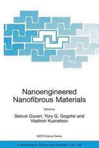 bokomslag Nanoengineered Nanofibrous Materials