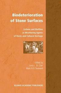 bokomslag Biodeterioration of Stone Surfaces