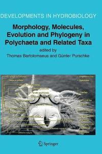 bokomslag Morphology, Molecules, Evolution and Phylogeny in Polychaeta and Related Taxa