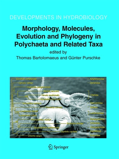 bokomslag Morphology, Molecules, Evolution and Phylogeny in Polychaeta and Related Taxa