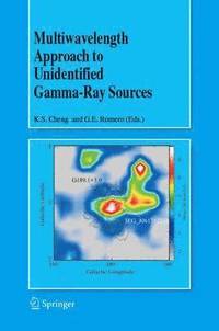 bokomslag Multiwavelength Approach to Unidentified Gamma-Ray Sources