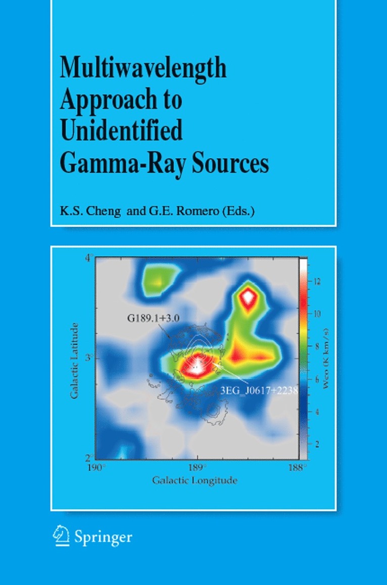 K.S. Cheng, Gustavo E. Romero, K. S. Cheng, Ka Lok Cheng, K S Cheng, Gustavo E Romero - Multiwavelength Approach to Unidentified Gamma-Ray Sources, Inbunden