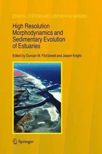 bokomslag High Resolution Morphodynamics and Sedimentary Evolution of Estuaries