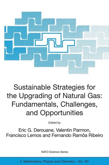 E.G. Derouane, Valentin Parmon, Francisco Lemos, Fernando Ramoa Ribeiro - Sustainable Strategies for the Upgrading of Natural Gas: Fundamentals, Challenges, and Opportunities, Inbunden