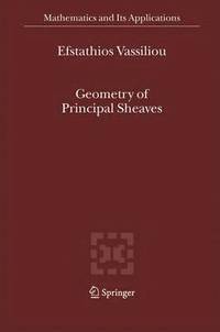 bokomslag Geometry of Principal Sheaves