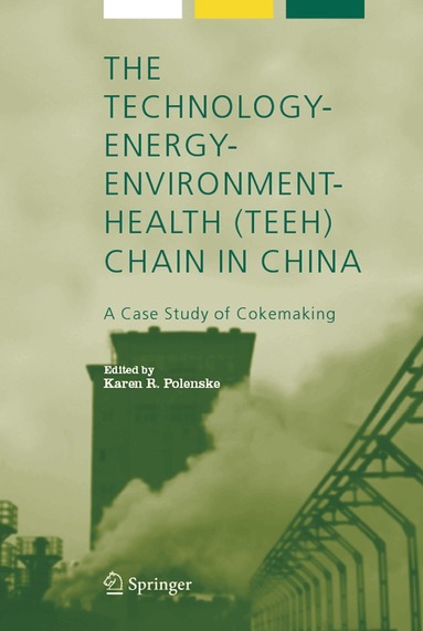 K. R. Polenske, Karen Polenske - Technology-Energy-Environment-Health (TEEH) Chain In China, Inbunden