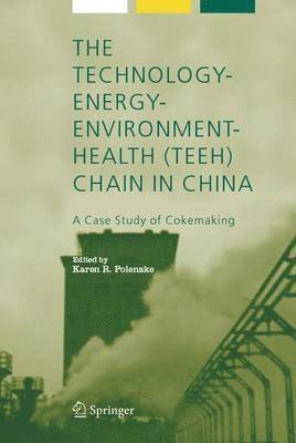 bokomslag The Technology-Energy-Environment-Health (TEEH) Chain In China