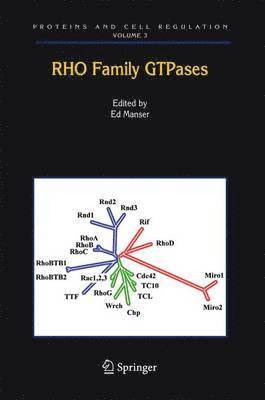 Edward J. Manser, Edward J Manser - Rho Family GTPases, Inbunden