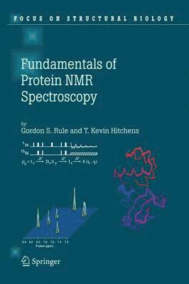 bokomslag Fundamentals of Protein NMR Spectroscopy