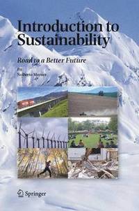 bokomslag Introduction to Sustainability