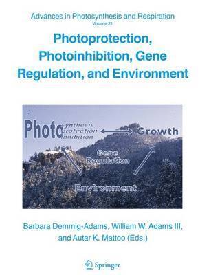 bokomslag Photoprotection, Photoinhibition, Gene Regulation, and Environment