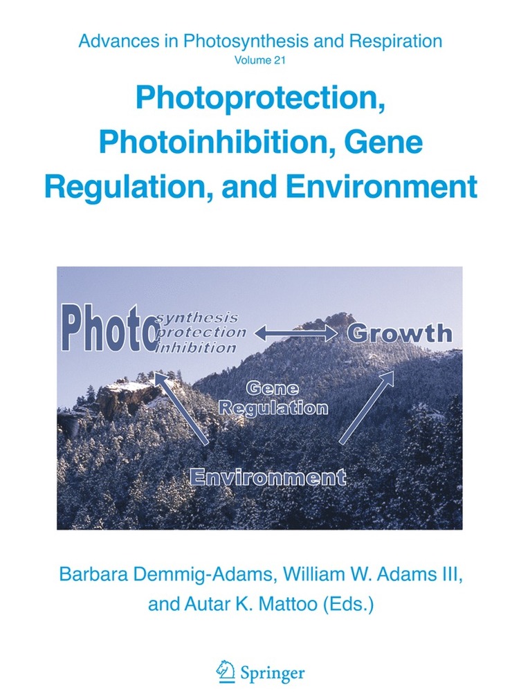Barbara Demmig-Adams, William Adams, A. Mattoo - Photoprotection, Photoinhibition, Gene Regulation, and Environment, Inbunden