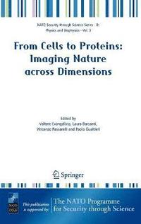 bokomslag From Cells to Proteins: Imaging Nature across Dimensions