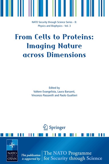 Valtere Evangelista, Laura Barsanti, Vincenzo Passarelli, Paolo Gualtieri - From Cells to Proteins: Imaging Nature across Dimensions, Inbunden