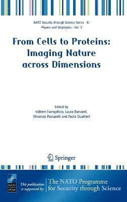 bokomslag From Cells to Proteins: Imaging Nature across Dimensions