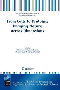bokomslag From Cells to Proteins: Imaging Nature across Dimensions