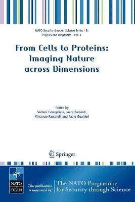 bokomslag From Cells to Proteins: Imaging Nature across Dimensions